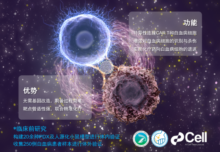两种新方法的技术突破将有助于CAR-T细胞治疗癌症更高效、更便捷